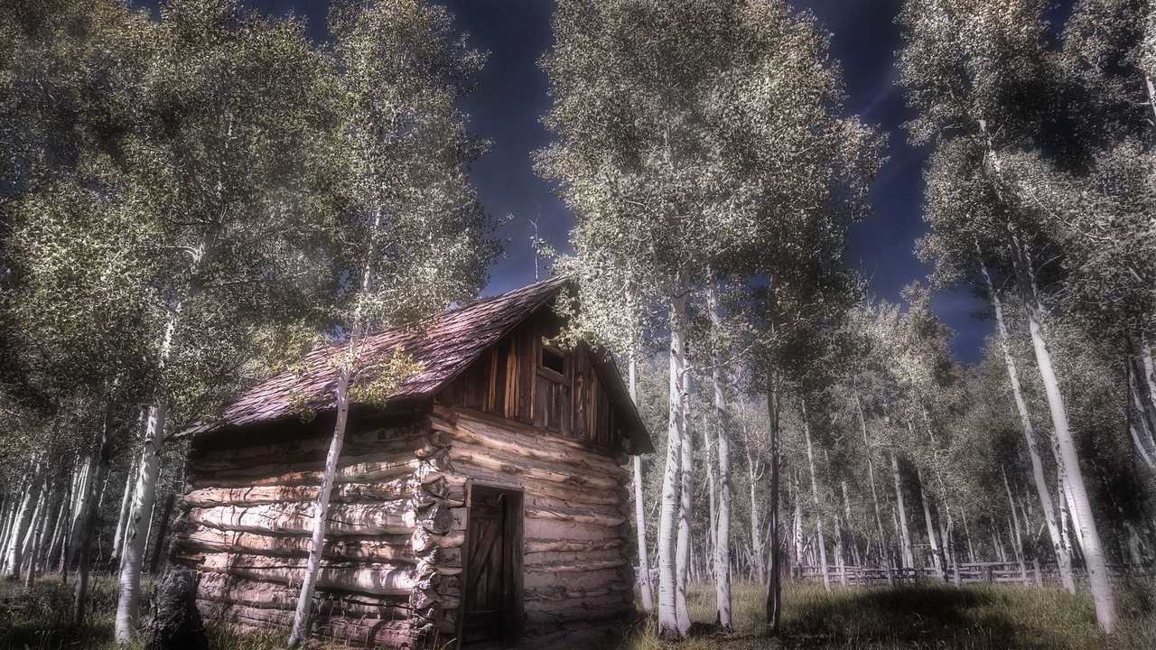 

Картина на холсте 60x110 LinxOne "Природа, пейзаж, натура, флора