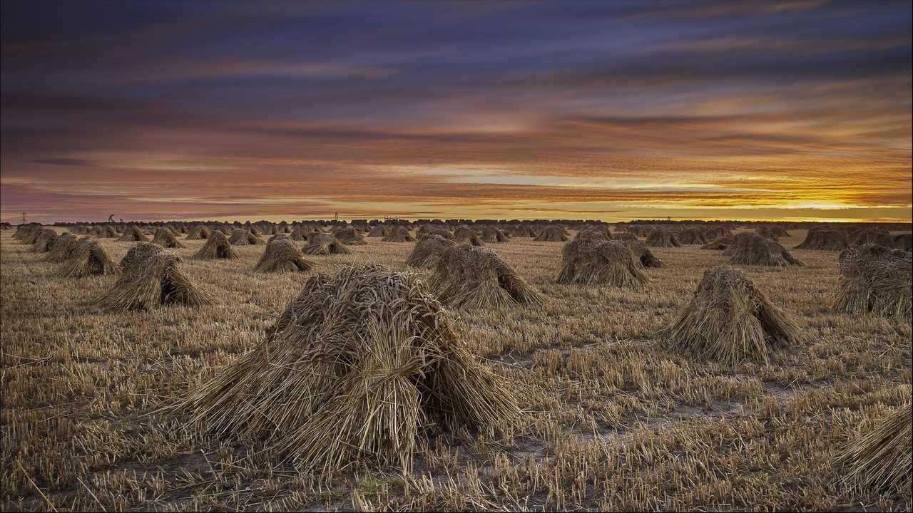 

Картина на холсте 60x110 LinxOne "Природа, пейзаж, натура, флора