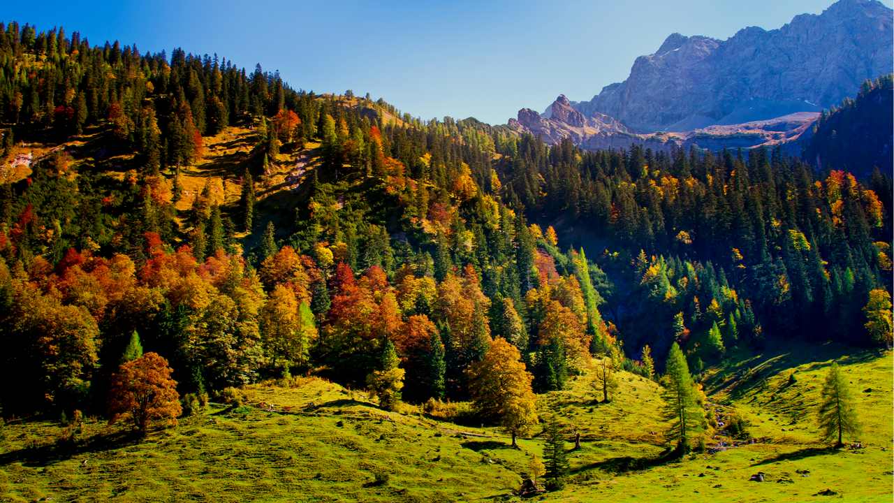 

Картина на холсте 60x110 LinxOne "Природа, пейзаж, натура, флора