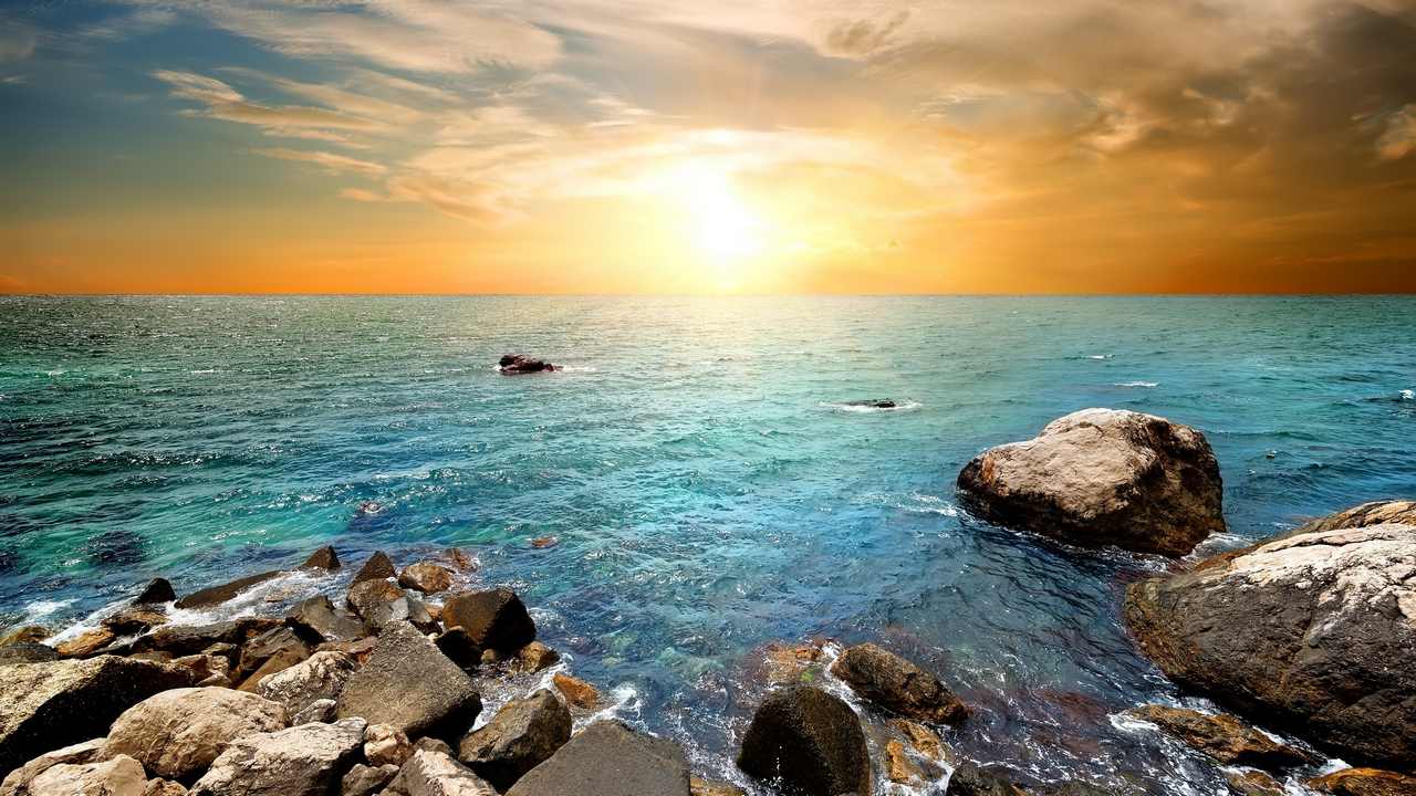 

Картина на холсте 60x110 LinxOne "Природа, пейзаж, натура, флора