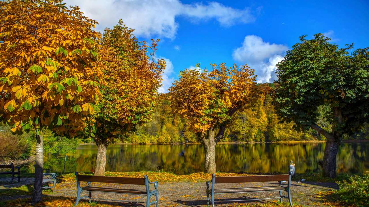

Картина на холсте 60x110 LinxOne "Природа, пейзаж, натура, флора