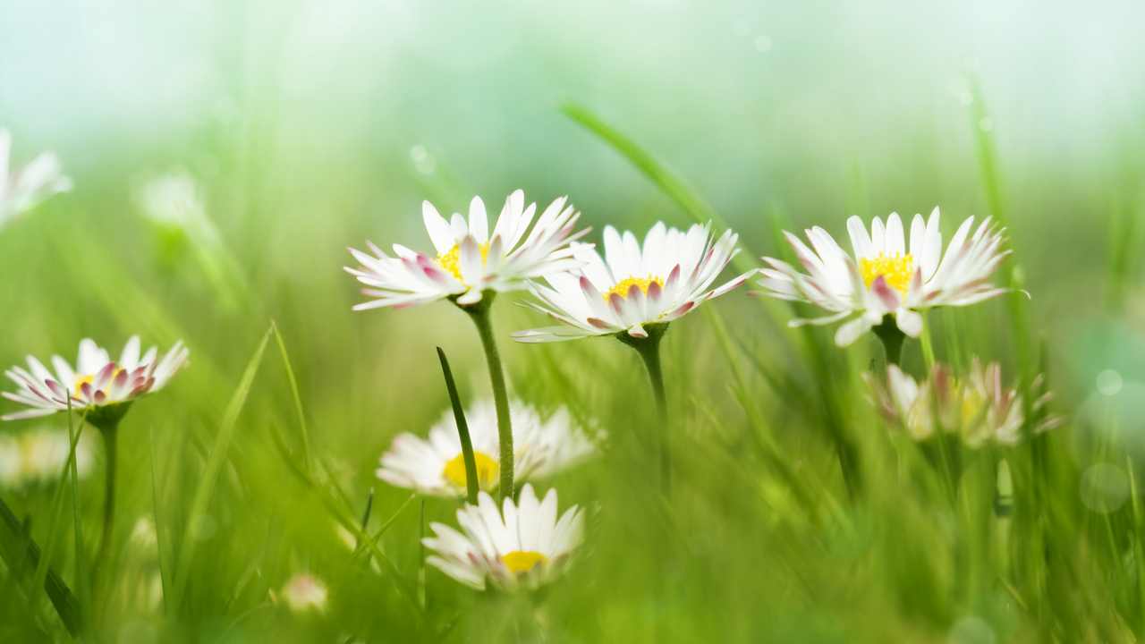 

Картина на холсте 60x110 LinxOne "Природа, пейзаж, натура, флора