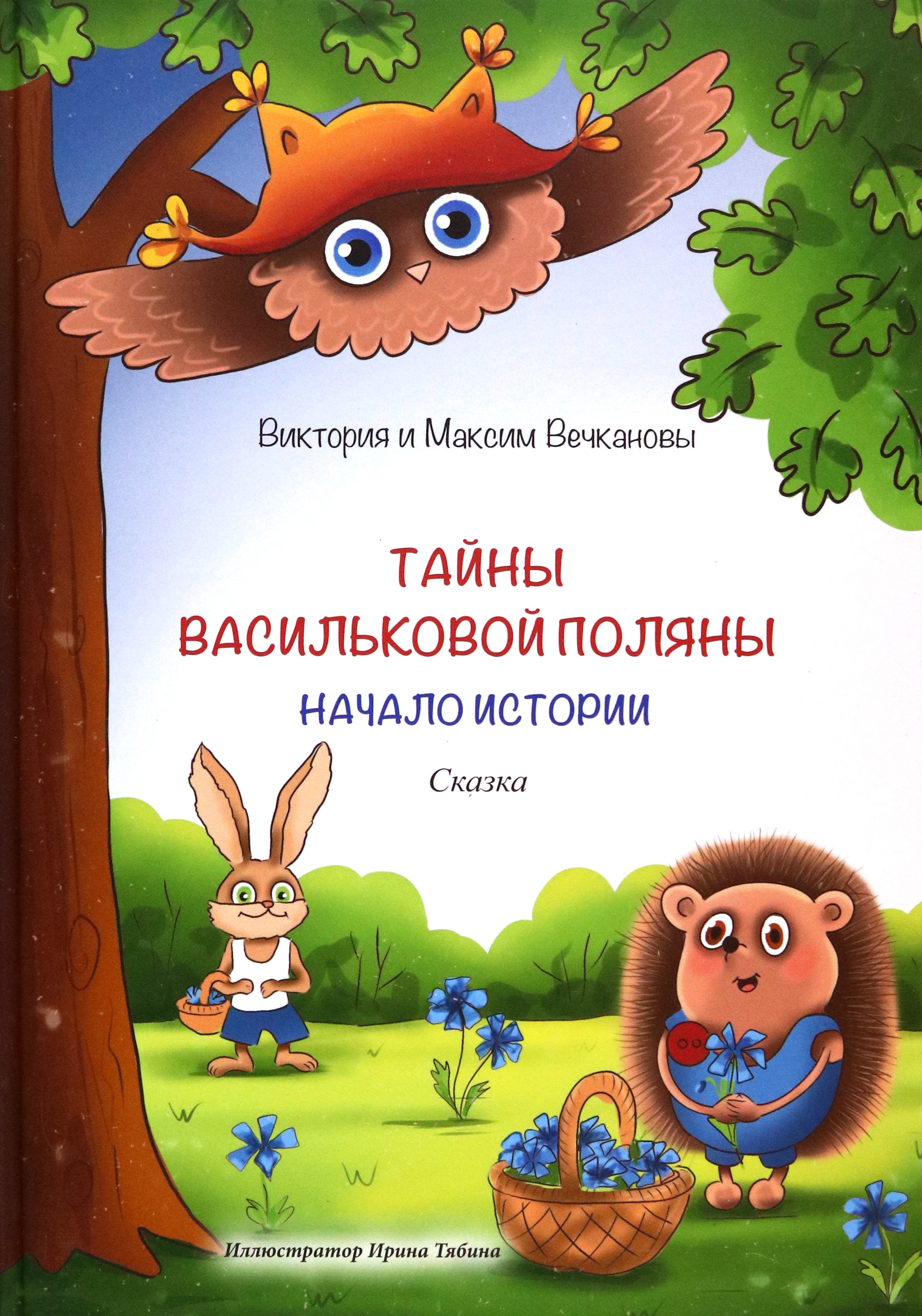 

Тайны Васильковой поляны Начало истории