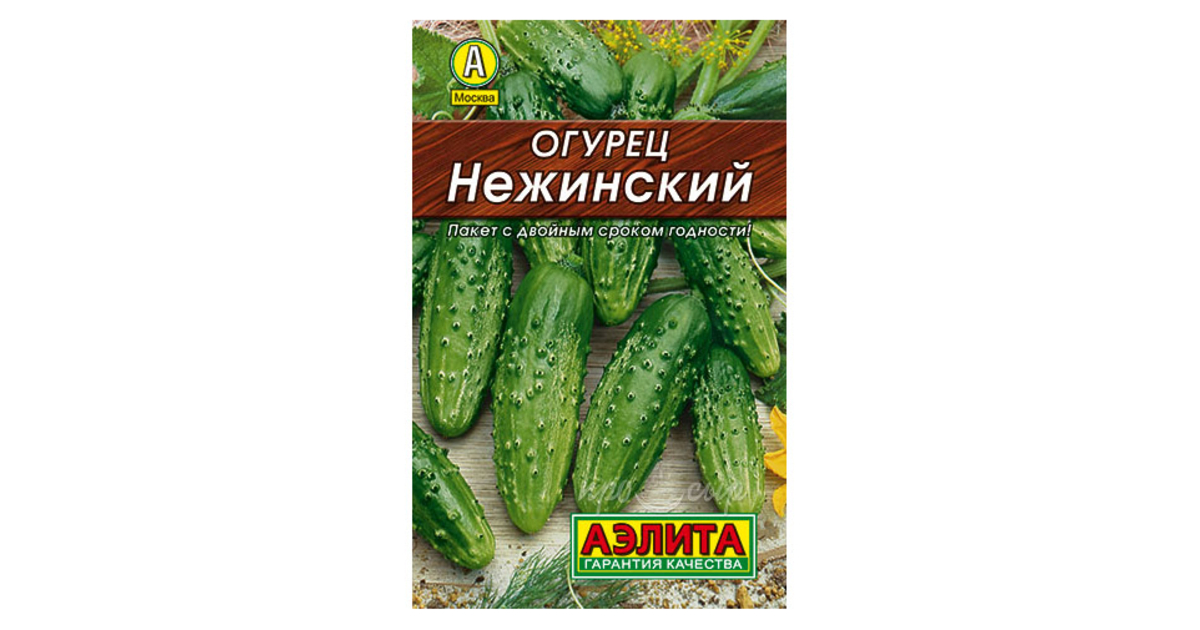 Огурец Нежинский Купить Семена