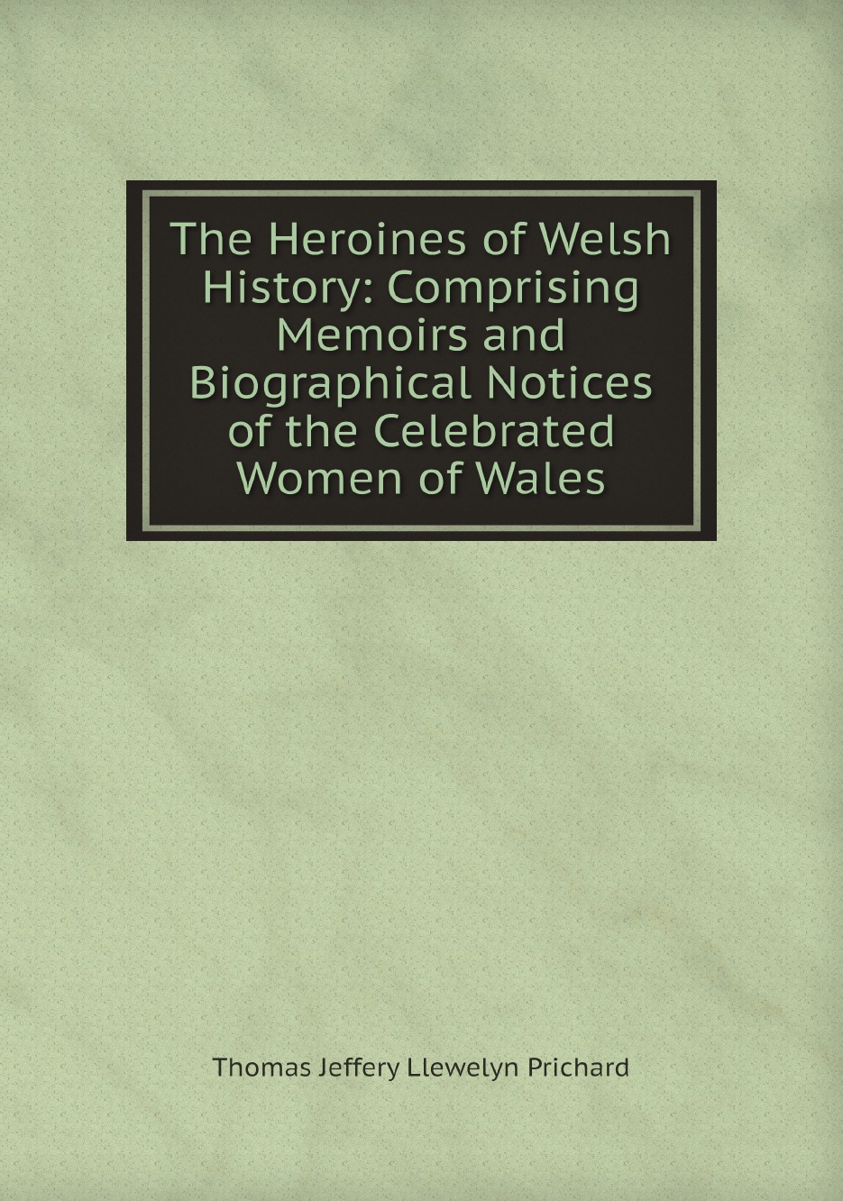 

The Heroines of Welsh History:Comprising Memoirs and Biographical Notices