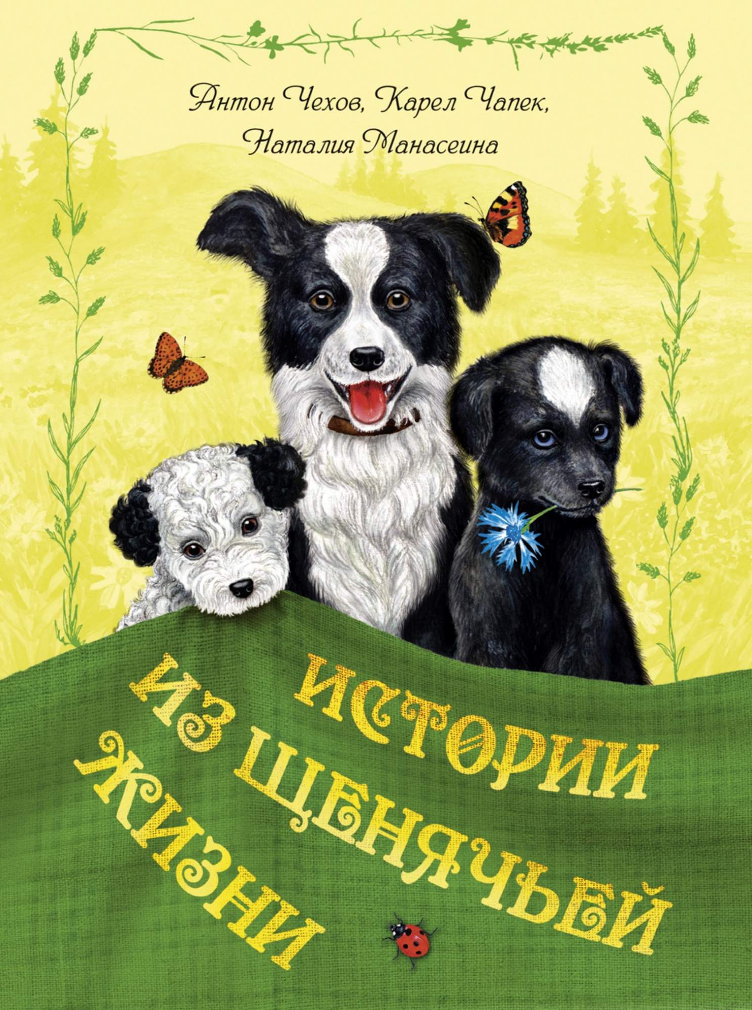 

Истории из щенячьей жизни