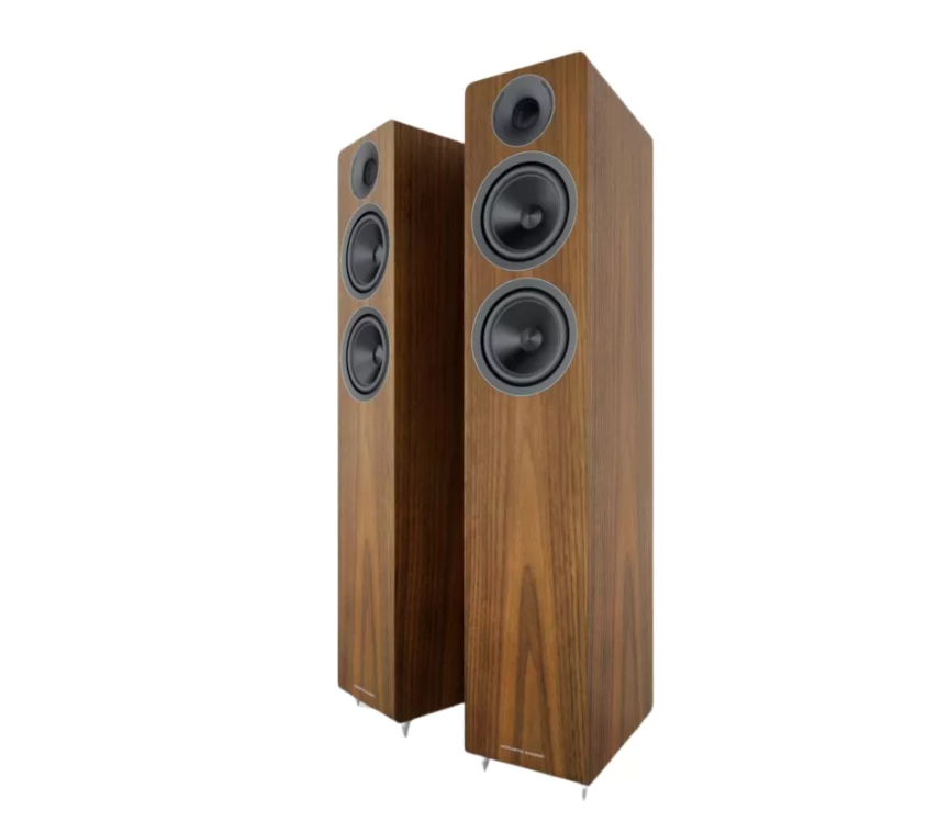 

Пассивная акустическая система Acoustic Energy AE309 (2018) Real Walnut Wood Veneer, AE309 (2018) Real Walnut Wood Veneer