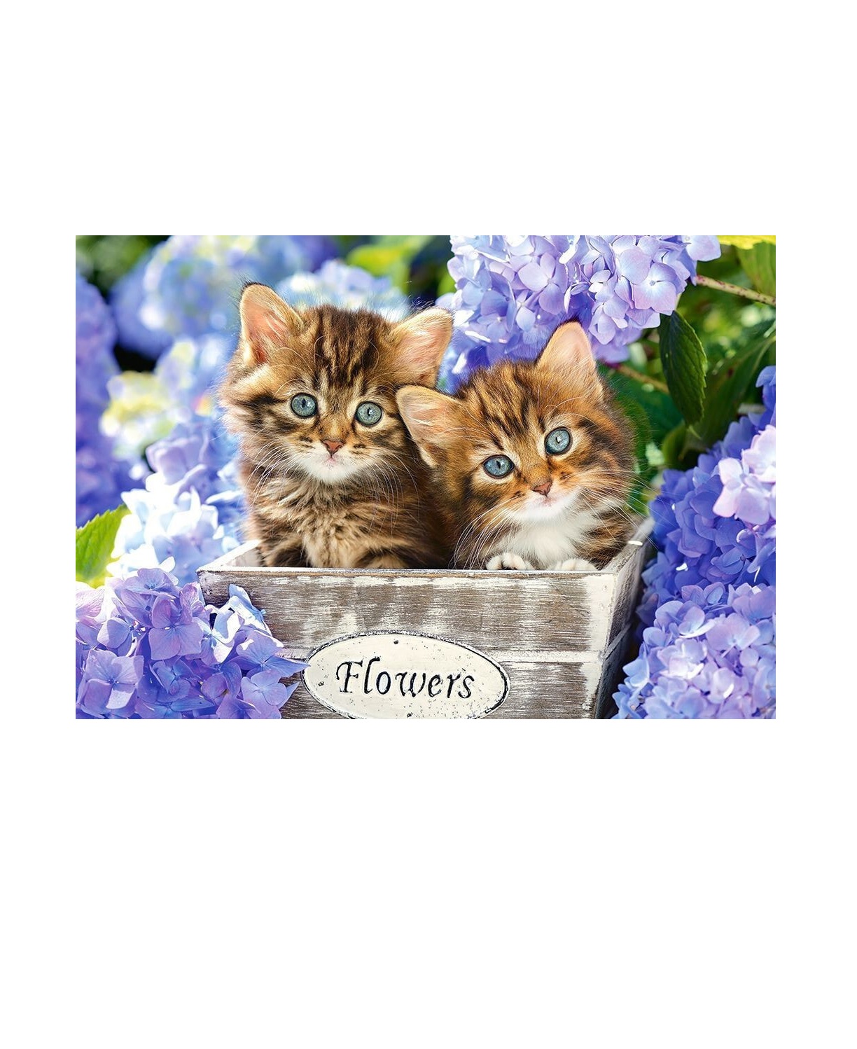 

Алмазная мозаика картина стразами Котята с цветами, 15х20 см 51104 00117089, Котята с цветами