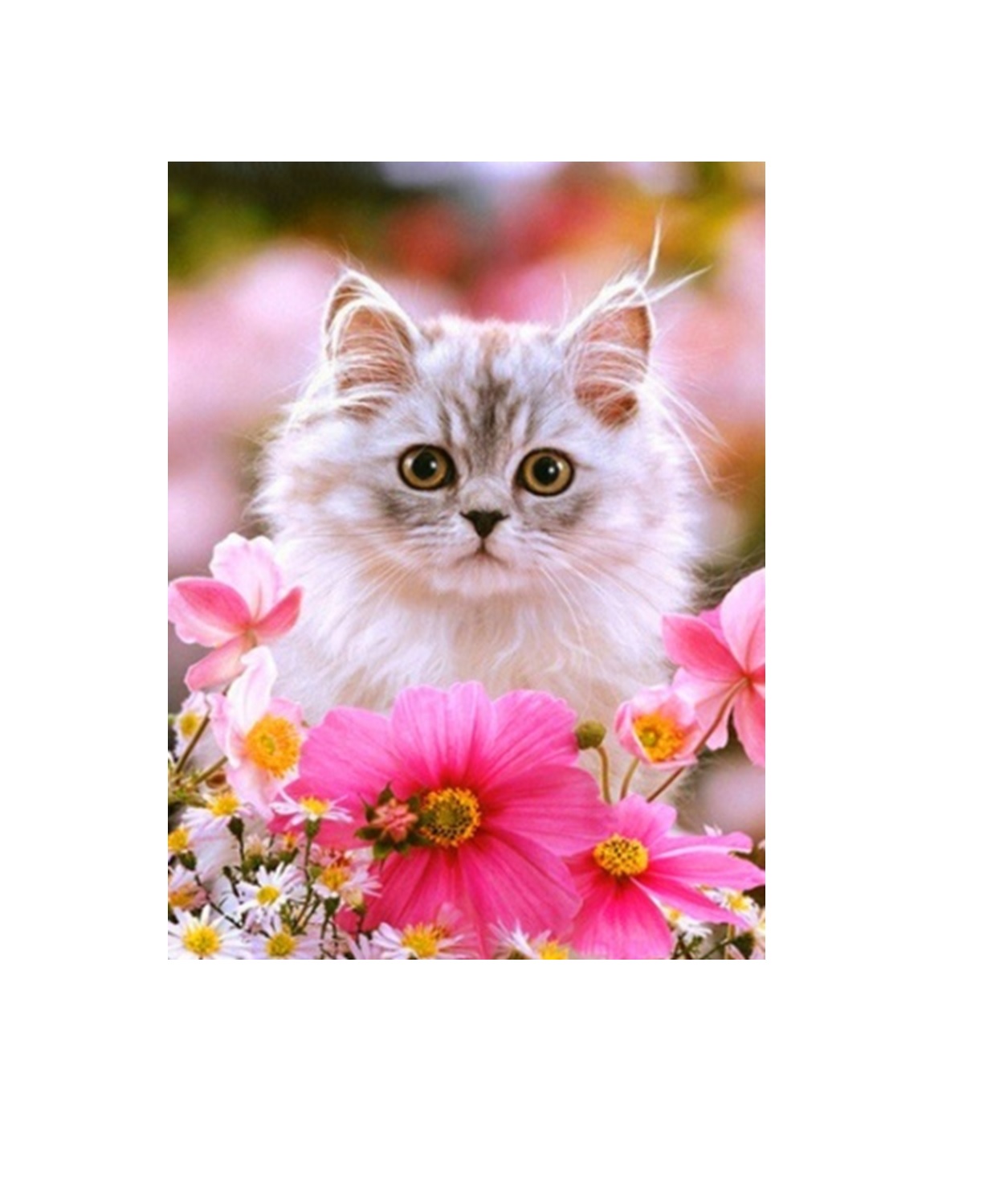 

Алмазная мозаика картина стразами Котёнок, 15х20 см 50333 116889, Котенок