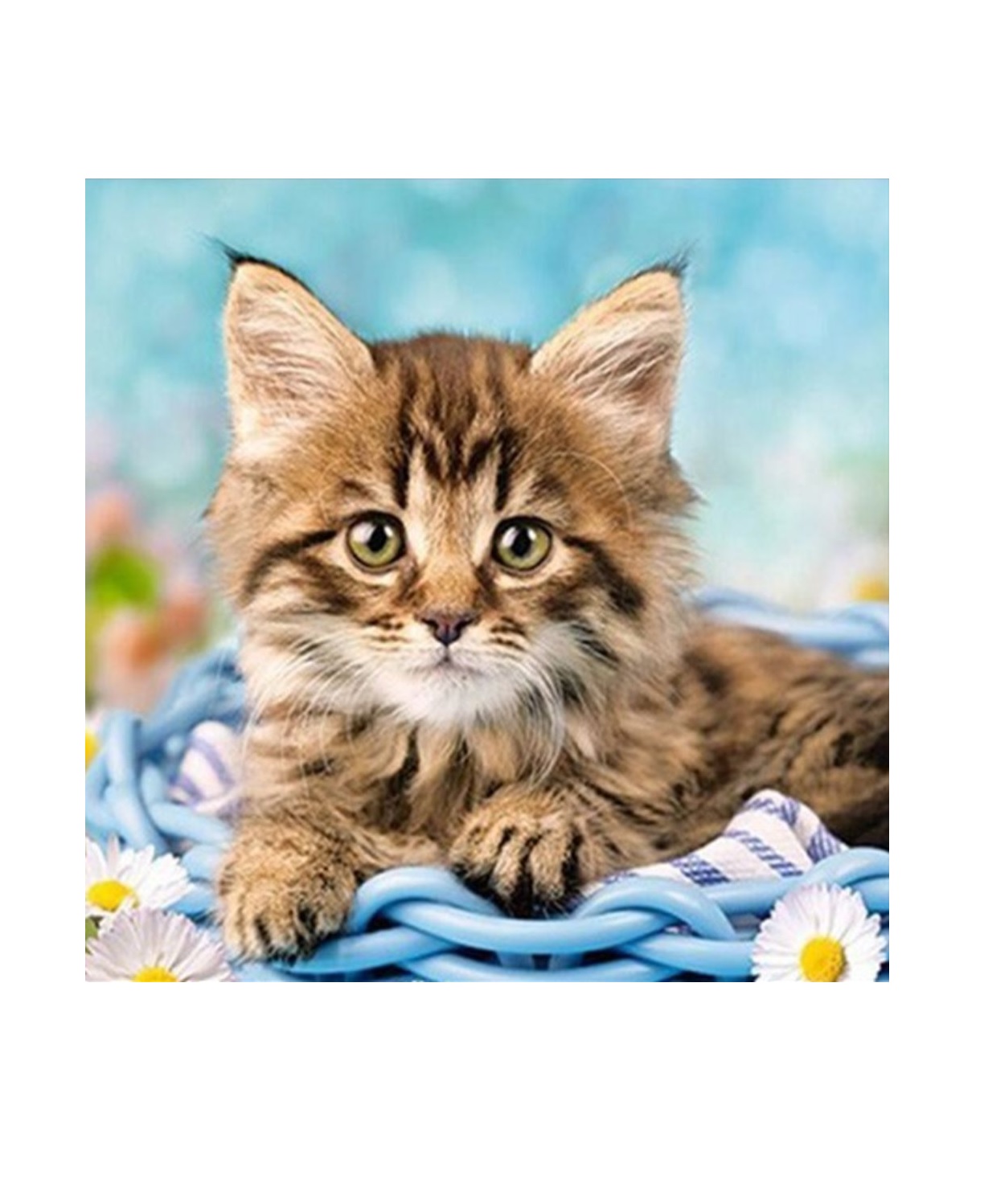 

Алмазная мозаика картина стразами Котёнок, 15х20 см 50776 116924, Котенок