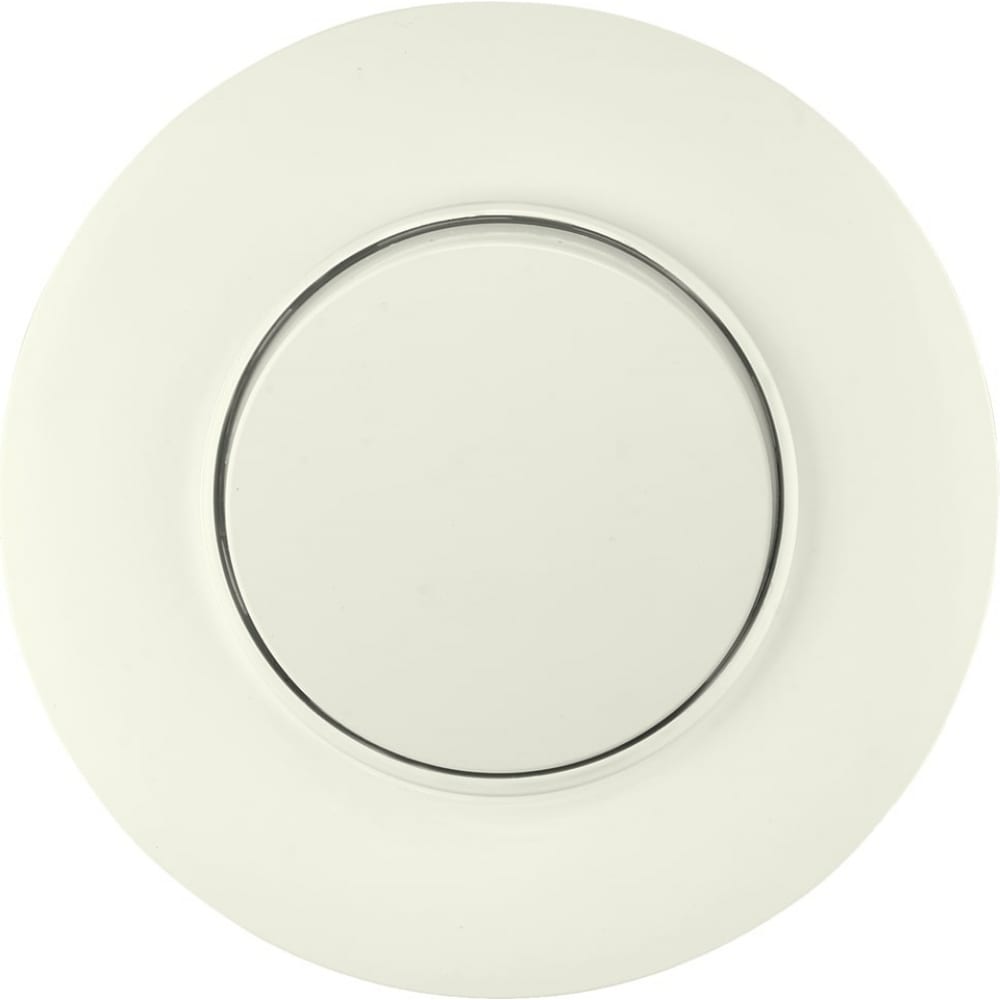 

Одноклавишный выключатель BYLECTRICA ПРОВАНС