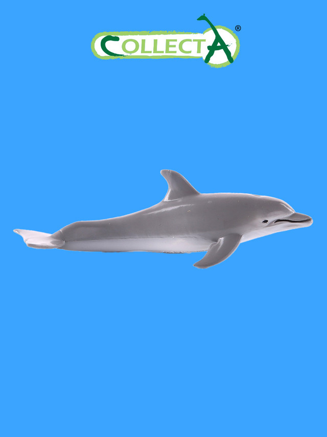 Фигурка морского животного Collecta, Дельфин М, 14 см фигурка морского животного collecta тихоокеанский белобокий дельфин