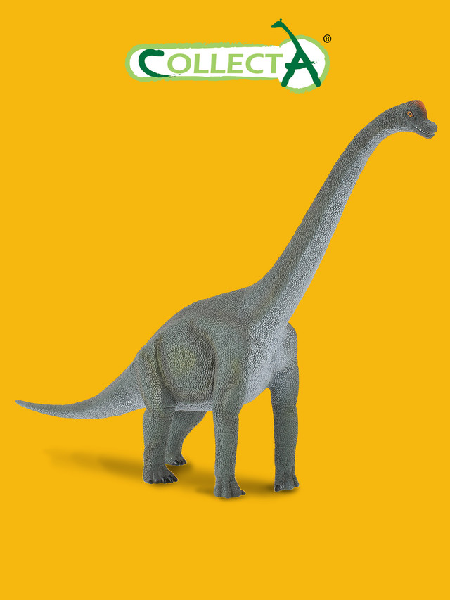 Фигурка динозавра Collecta, Брахиозавр, L 23 см kiddieplay фигурка динозавра брахиозавр 19 см
