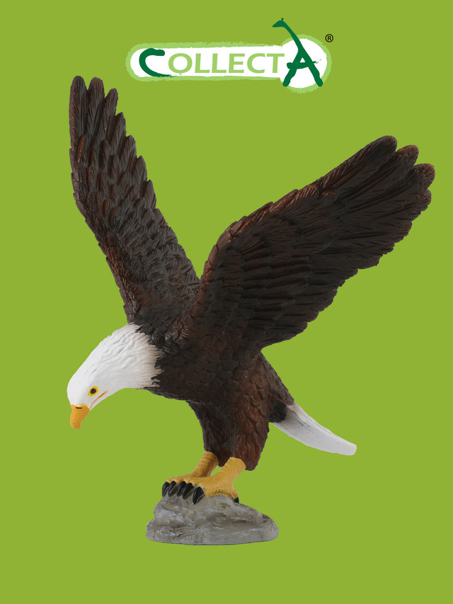 

Фигурка птицы Collecta, Американский лысый орел, Американский лысый орел
