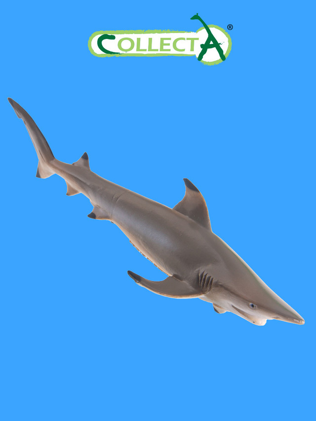 Фигурка collecta рифовая акула (m) фигурка collecta акула большая белая xl