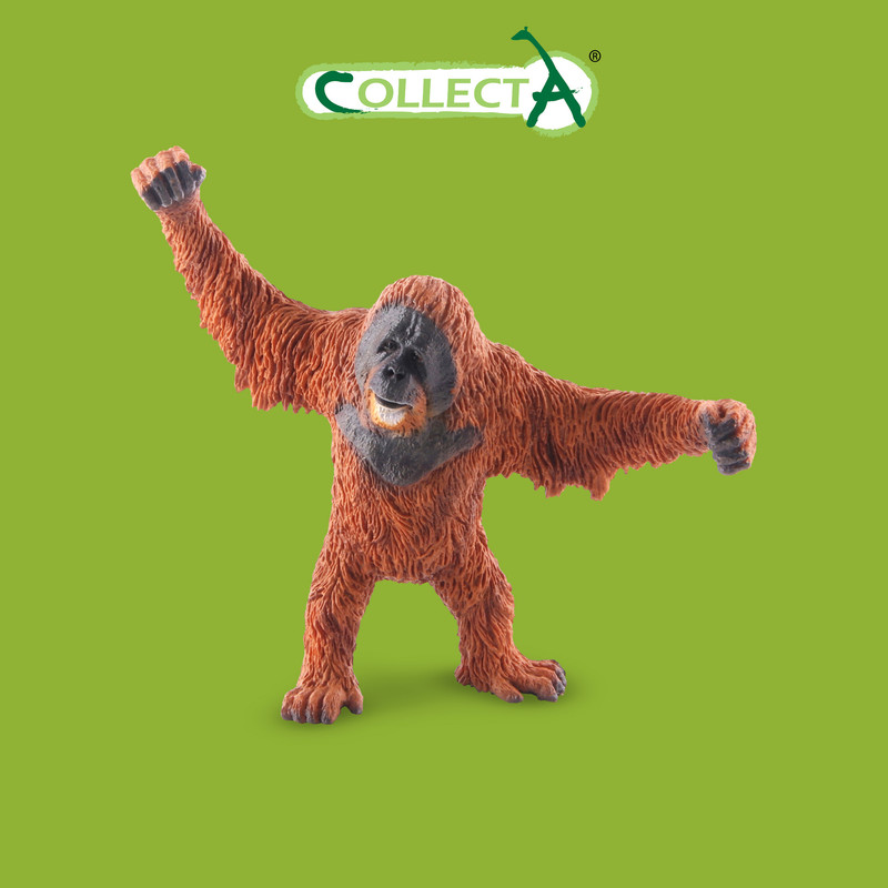 

Фигурка collecta орангутан (l), Орангутан