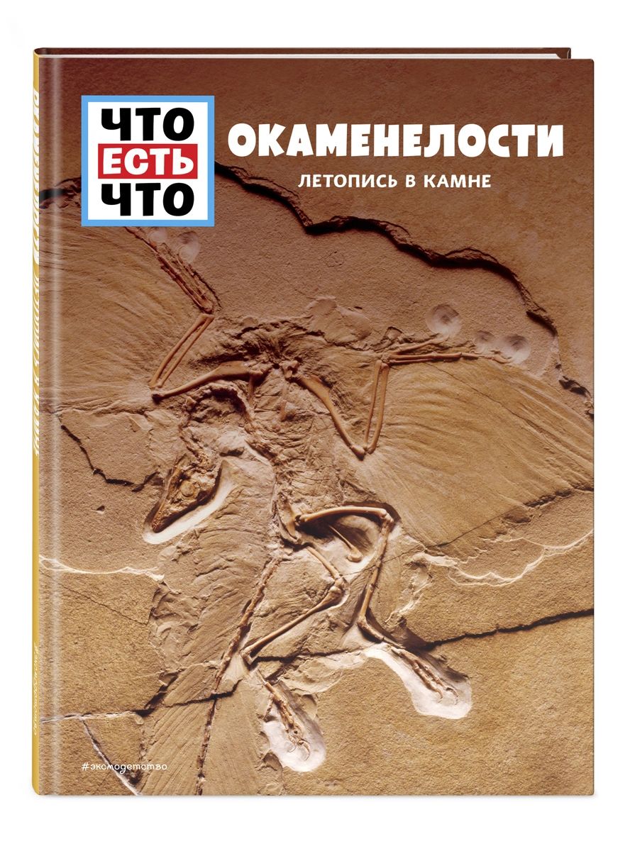 

Книга ОКАМЕНЕЛОСТИ. Летопись в камне