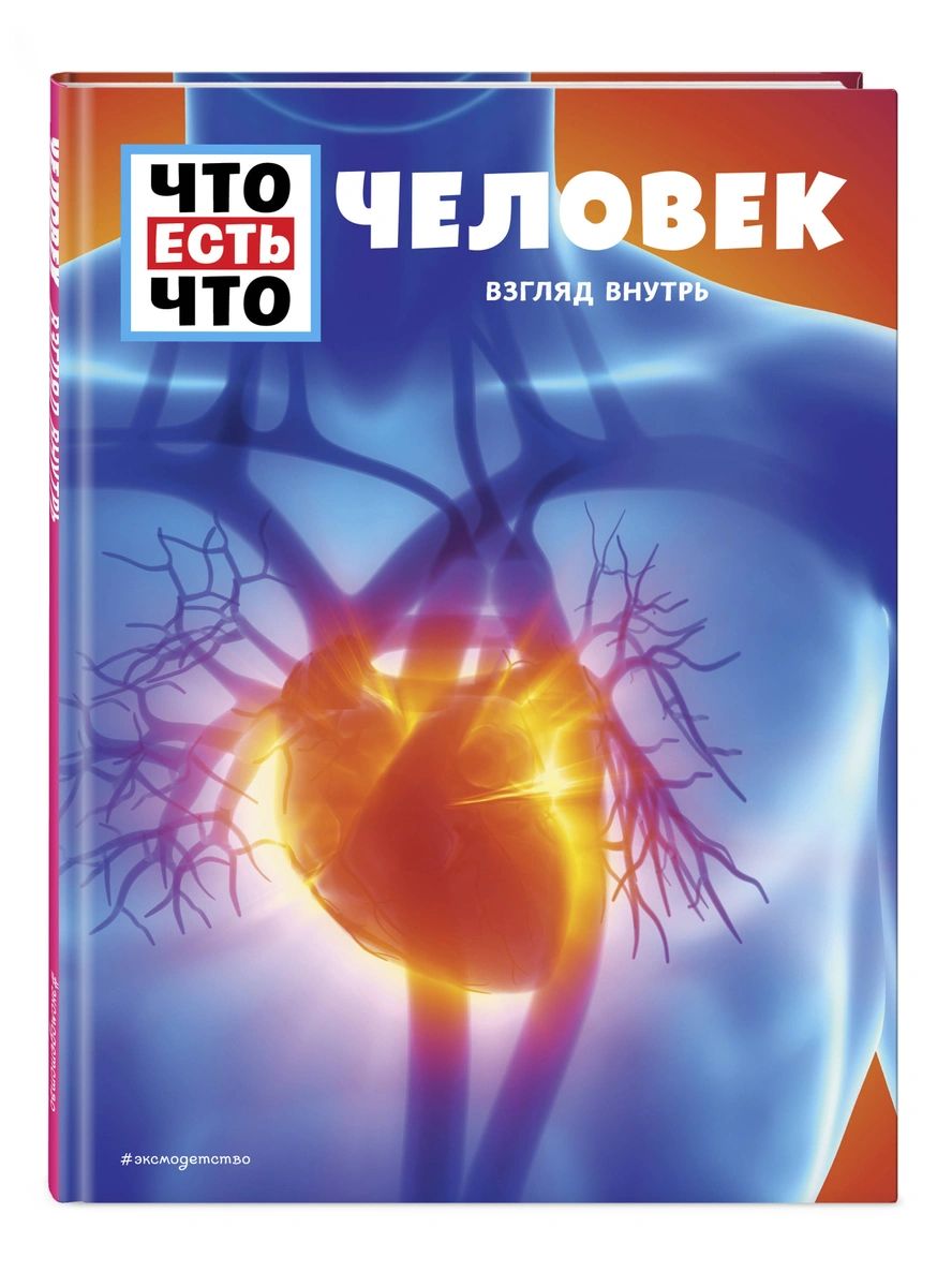 

ЧЕЛОВЕК. Взгляд внутрь