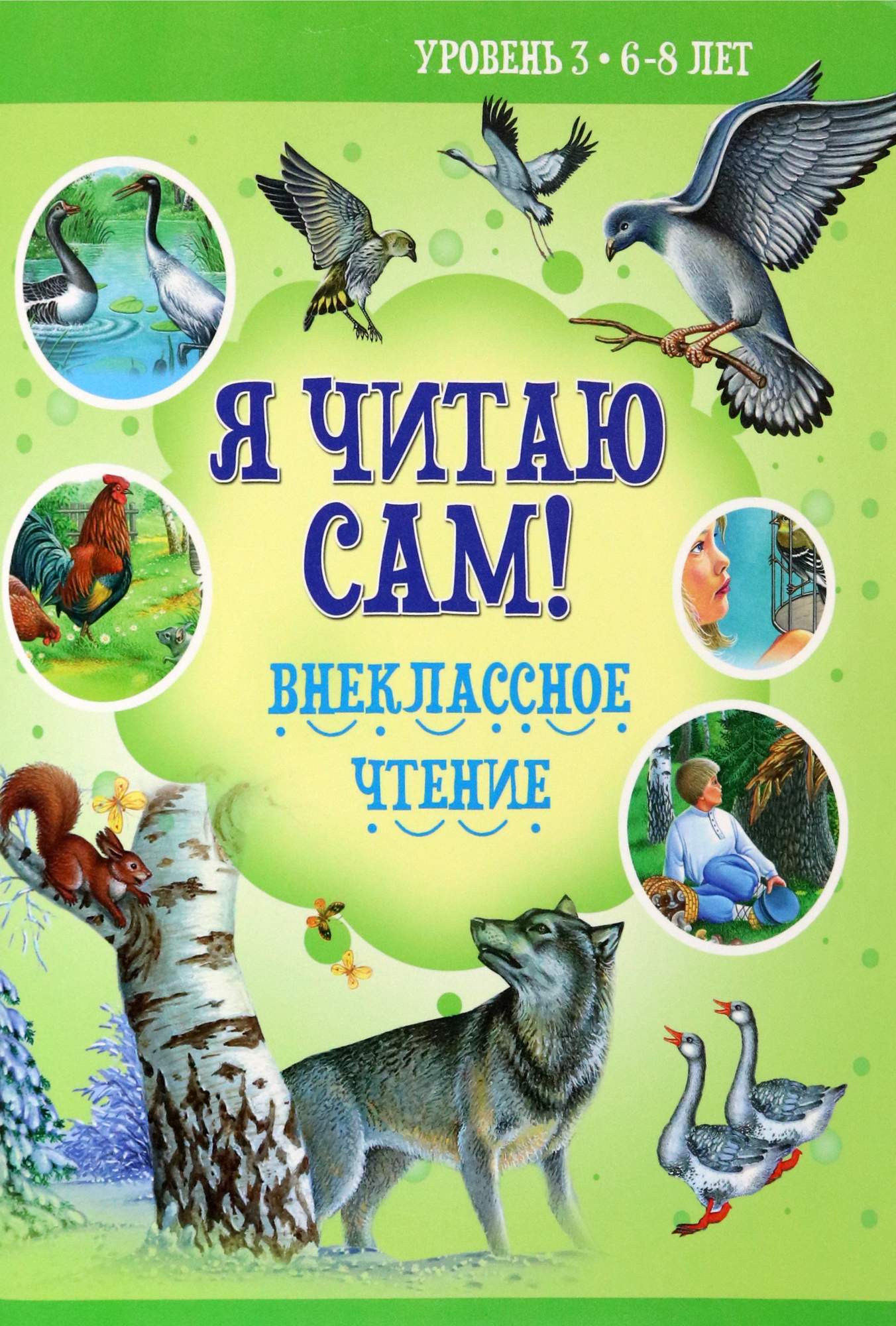 

Внеклассное чтение
