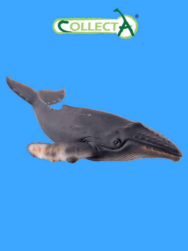 Фигурка морского животного Collecta, Горбатый кит фигурка животного collecta корова герефордская 88860b