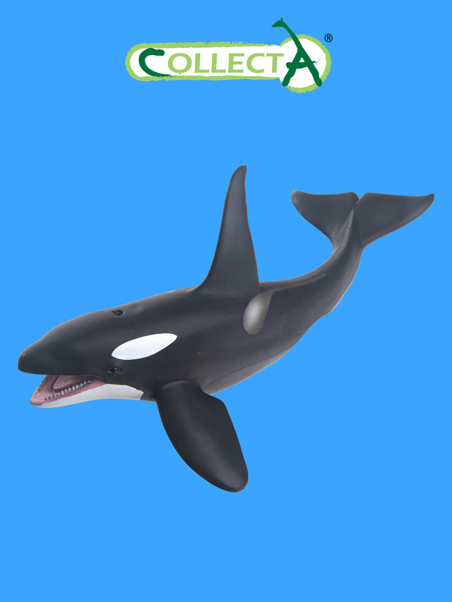 Фигурка морского животного Collecta, Косатка XL фигурка морского животного collecta горбатый кит