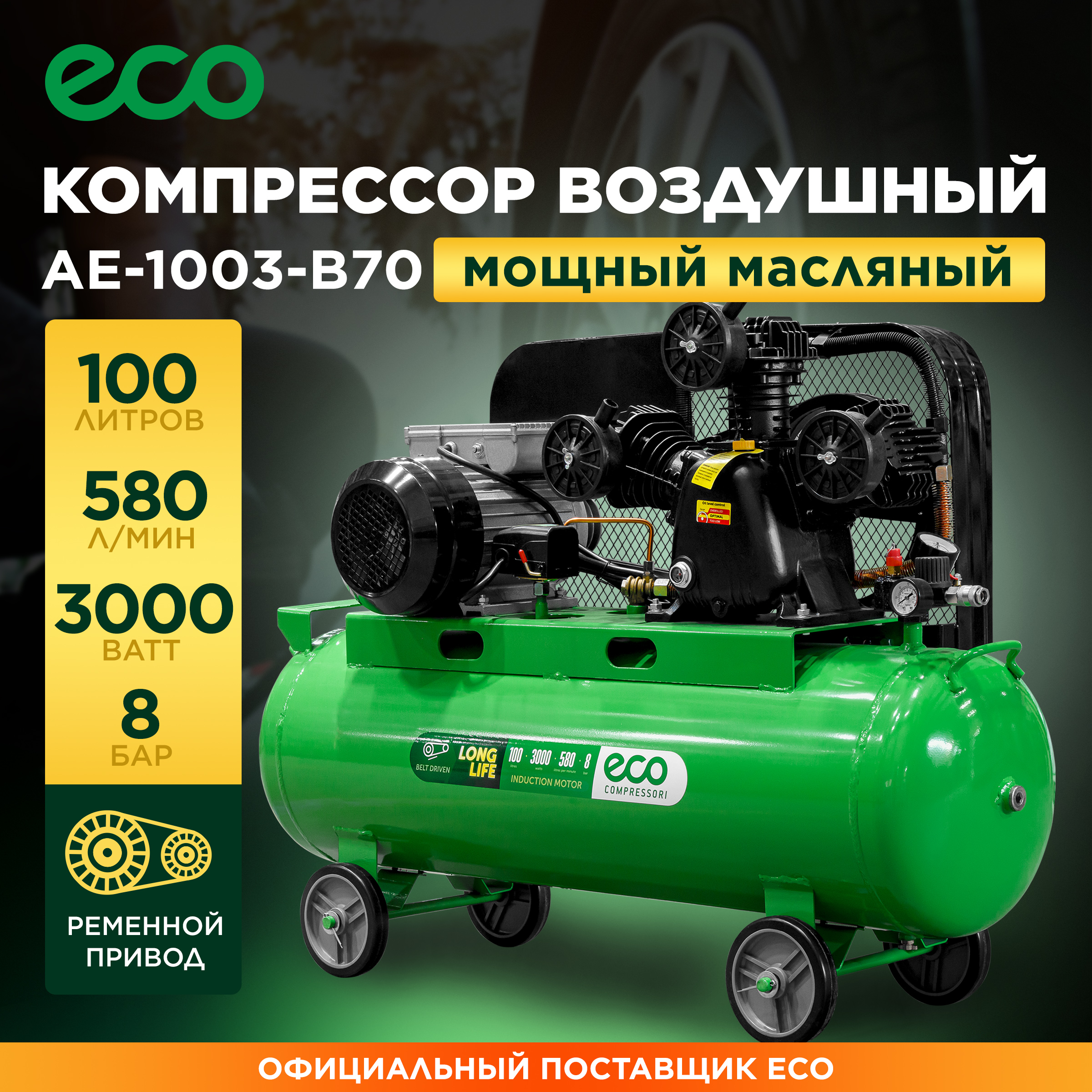 Компрессор ECO AE-1003-B70 (EC2610-0)