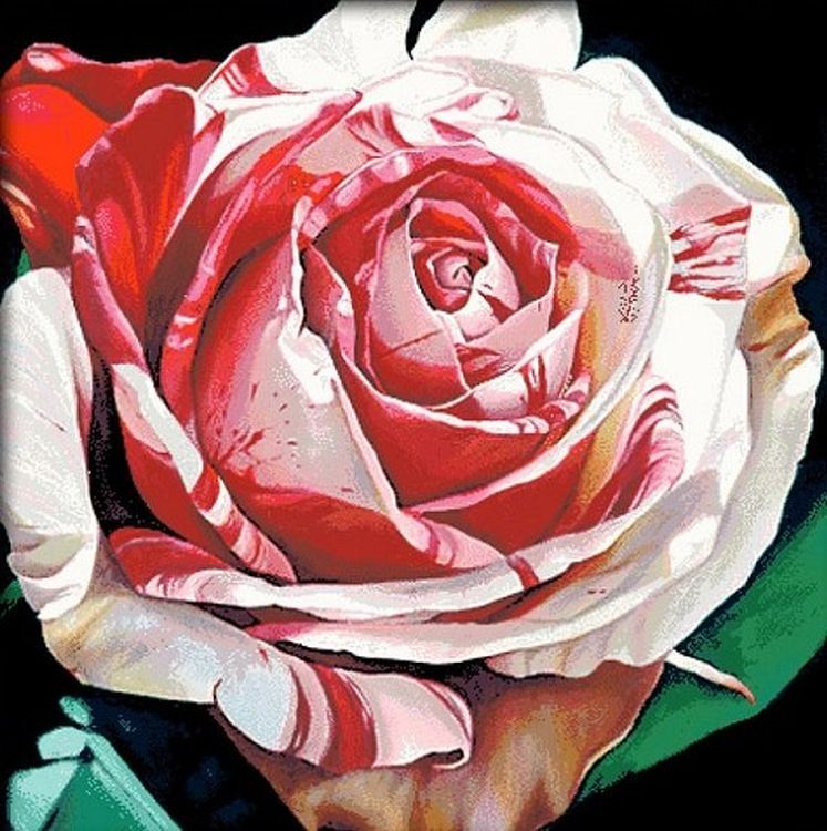 Алмазная вышивка Jing Cai Ge «Алая роза»