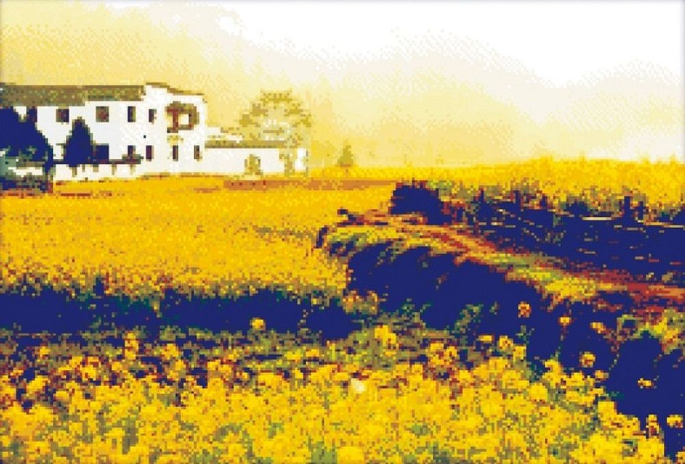 Алмазная вышивка Jing Cai Ge «Желтый пейзаж»