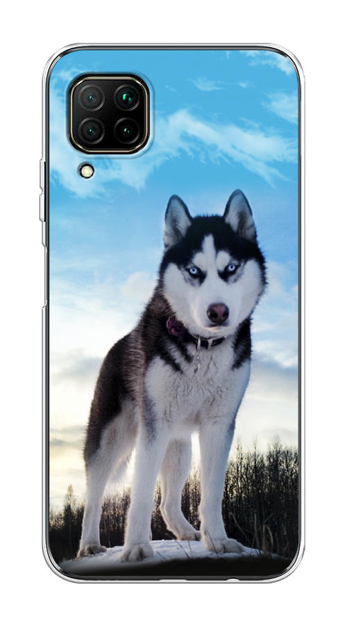 

Чехол Awog на Huawei Nova 7i "Хаски 3", Разноцветный, 611850-2