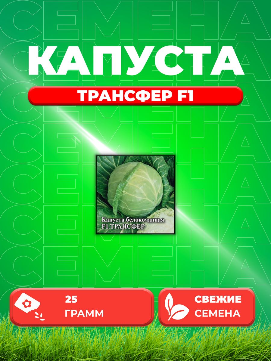 

Семена капуста белокочанная Трансфер F1 Гавриш 10005399-1 1 уп.