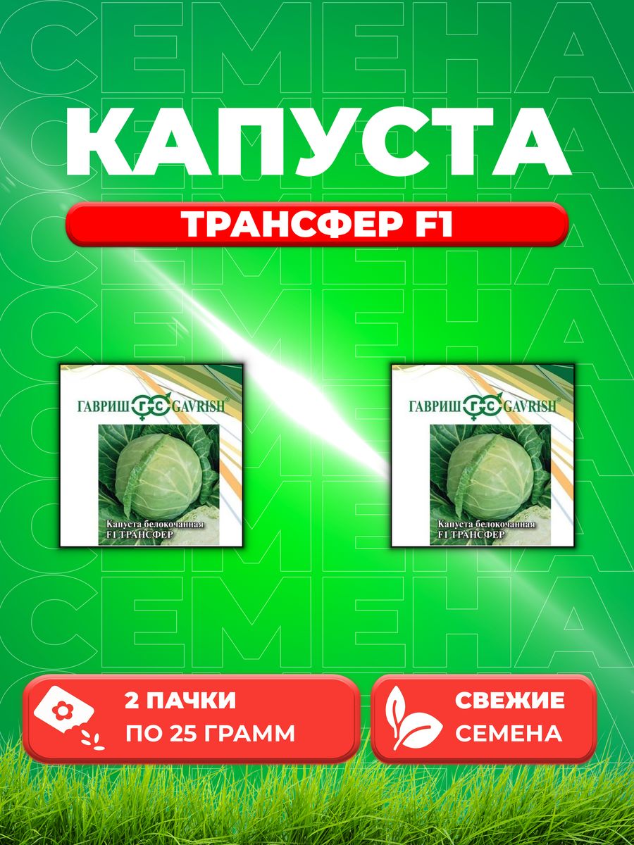 

Семена Капуста белокочанная Трансфер F1, 25г, Гавриш, 2уп