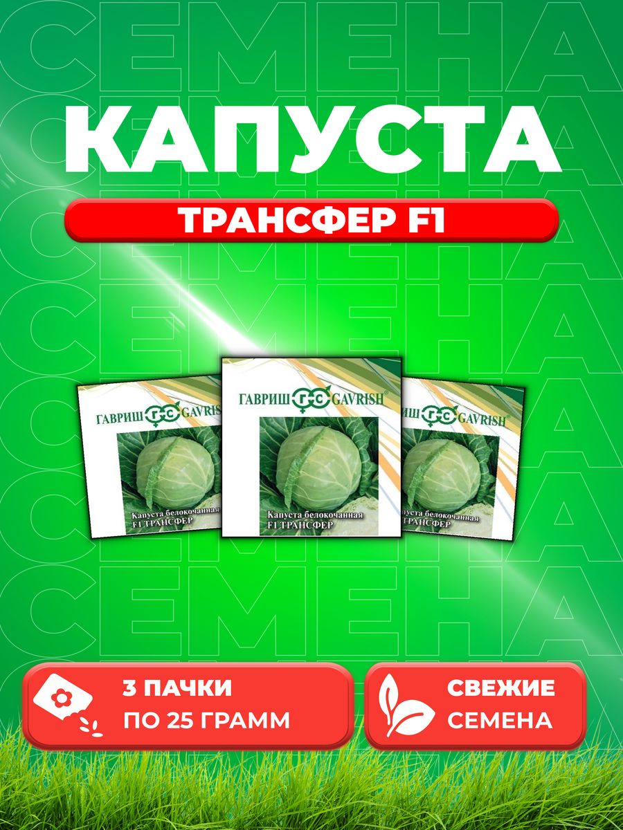 

Семена Капуста белокочанная Трансфер F1, 25г, Гавриш, 3уп