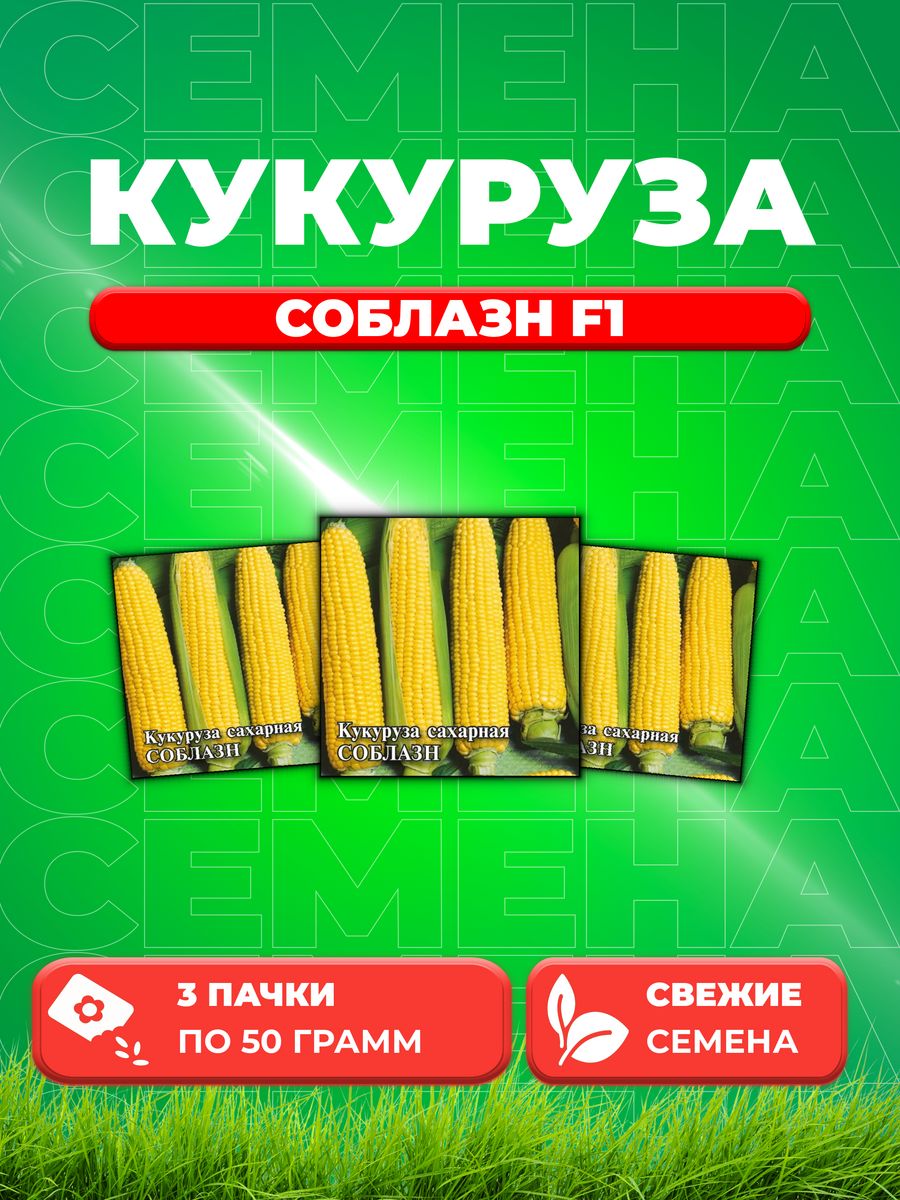 

Семена Кукуруза Соблазн F1 сахарная 50,0 г 3уп