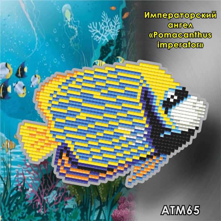 

Алмазная вышивка Арт Соло «Императорский ангел (Pomacanthus imperator)» (магнит)