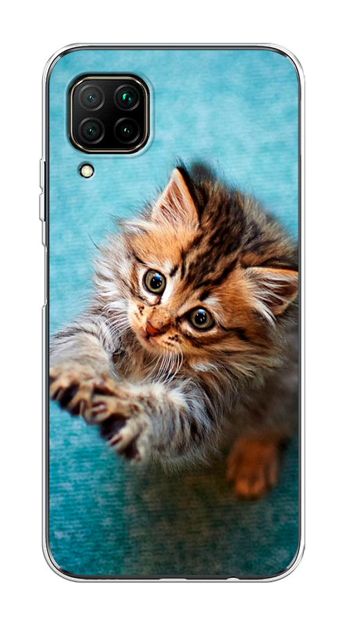 

Чехол Awog на Huawei Nova 7i "Котенок просит есть", Разноцветный, 611850-2