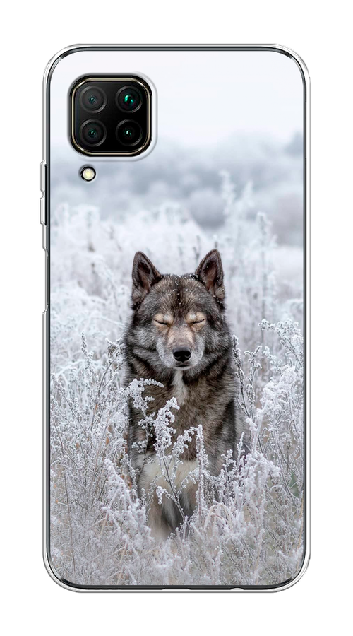 

Чехол Awog на Huawei Nova 7i "Волк в поле", Разноцветный, 611850-1