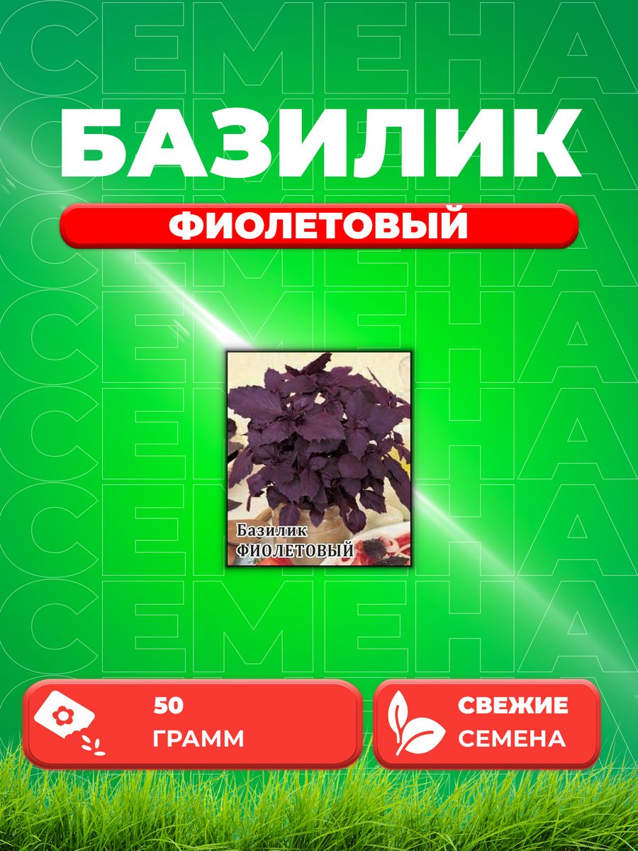 

Семена Семена Базилик Фиолетовый 50г. Гавриш
