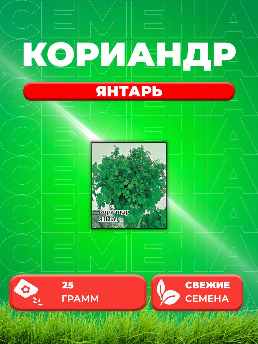 

Семена Кориандр Янтарь 25,0 г