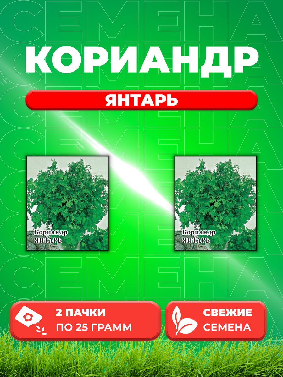 

Семена Кориандр Янтарь 25,0 г 2уп