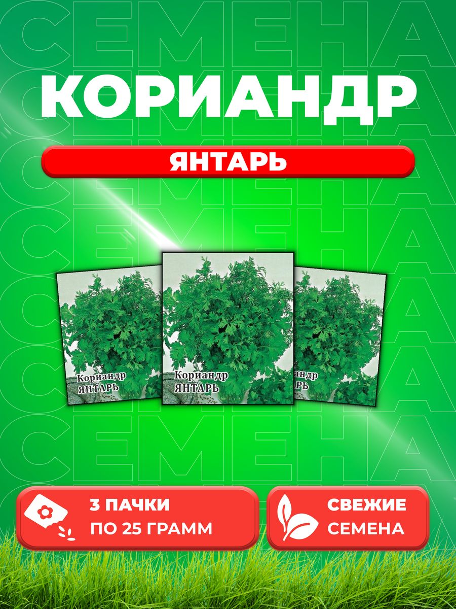 

Семена Кориандр Янтарь 25,0 г 3уп