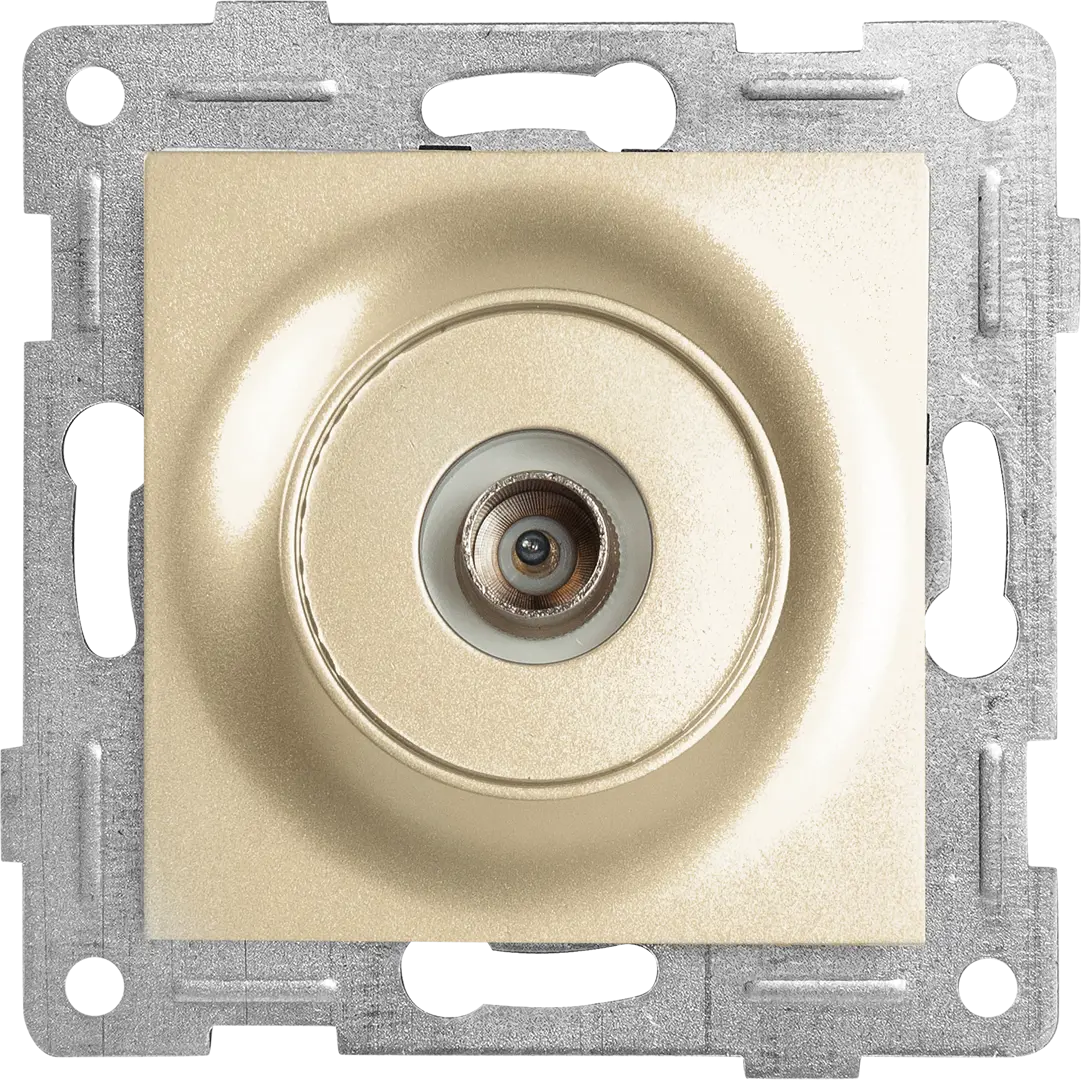 

Розетка антенная встраиваемая Gusi Electric без заземления цвет шампань, Бежевый