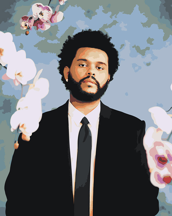 

Картина по номерам Цветное Музыкант The Weeknd с орхидеями