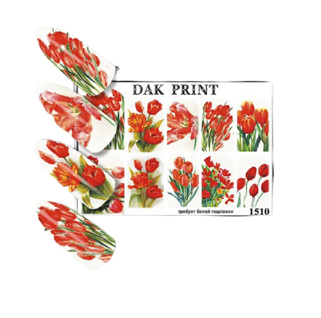 

Слайдер Dak Print W1510