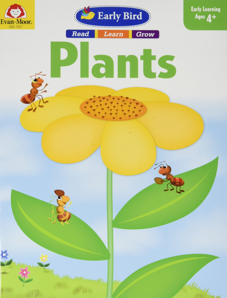 

Early Bird: Plants