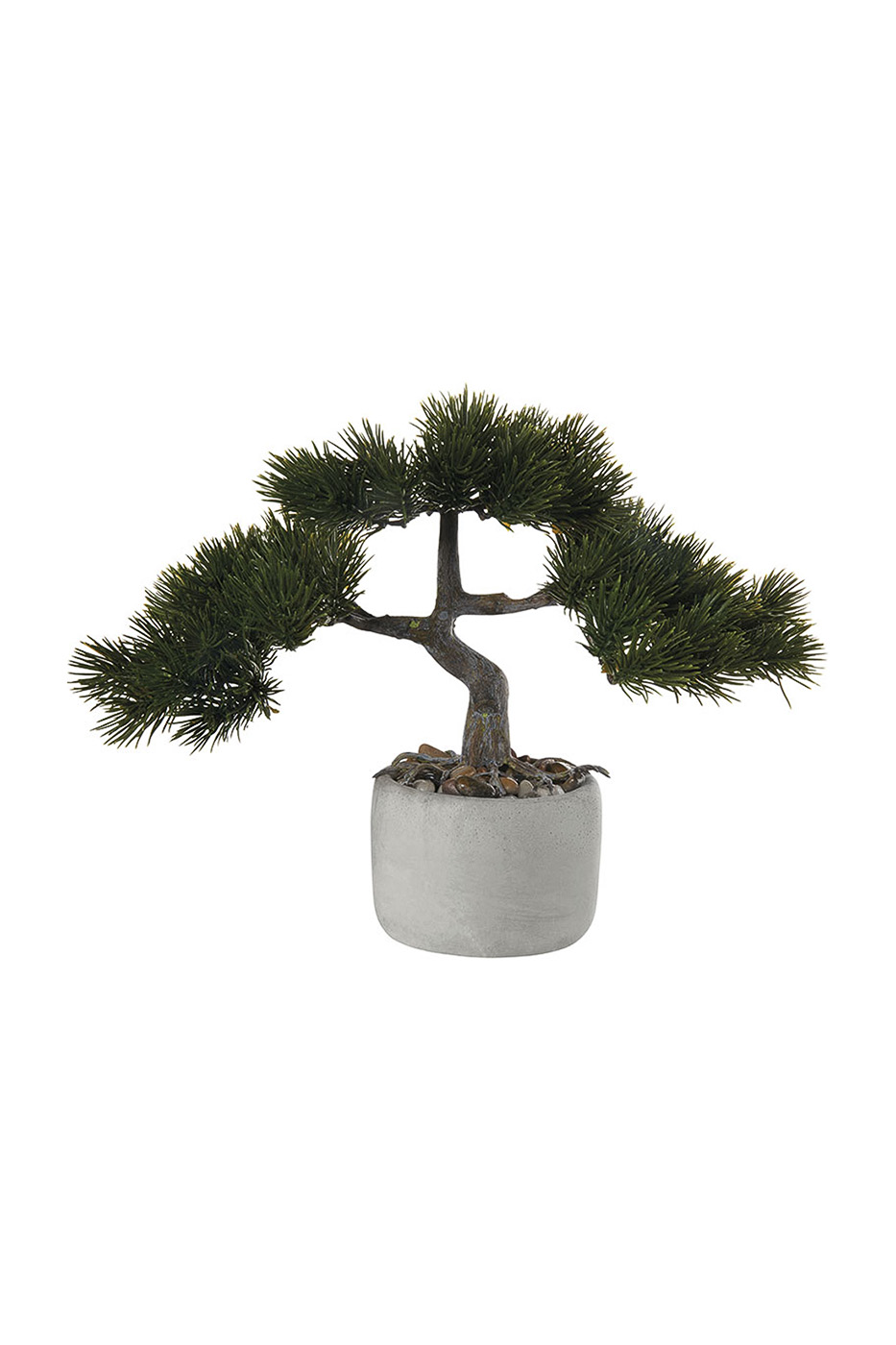 

Бонсай Сосна Asa Selection Bonsai в керамическом горшочке, 22,5x14,5см