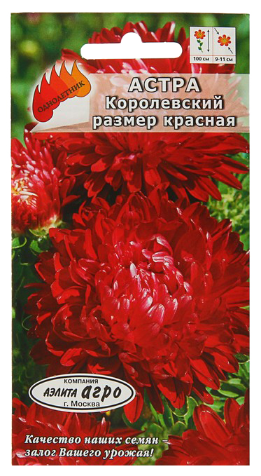 

Семена цветов Аэлита Астра Королевский размер красная однолетник