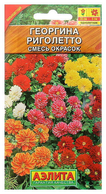 

Семена георгин Аэлита Риголетто 00-00571858 1 уп.