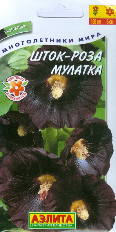 

Семена роза Аэлита Мулатка 1 уп.