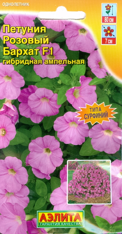 Петуния белый бархат