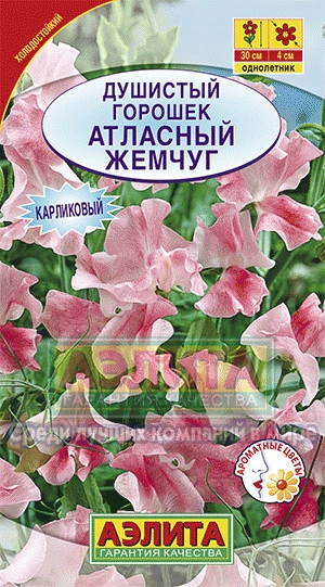 

Семена душистый горошек Аэлита Атласный жемчуг 00-00058441 1 уп.